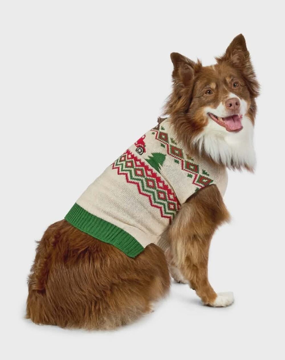 NEW! Vibrant Life Christmas Pet Dog Sweater Costume Size M 20-50lb Red Truck